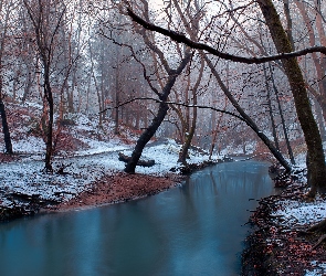 Rzeka, Drzewa, Śnieg, Zima