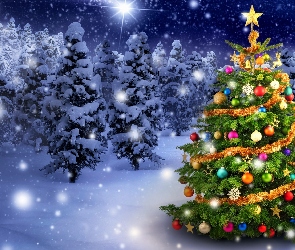 Boże Narodzenie, Choinka, 2D, Śnieg, Gwiazdy, Las