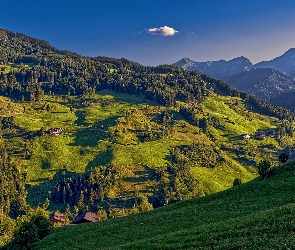 Góry, Gmina Grossarl, Domy, Austria, Dolina, Wzgórze, Alpy, Lasy, Drzewa