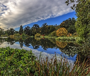Jezioro, Chmury, Roślinność, Drzewa, Park