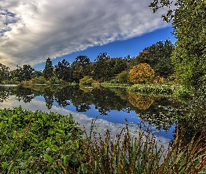 Park, Chmury, Drzewa, Roślinność, Jezioro