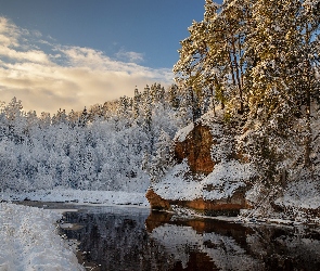 Drzewa, Ośnieżone, Rzeka, Skała, Oszronione, Zima, Las