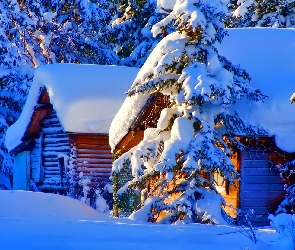 Dom, Drzewa, Śnieg, Zima