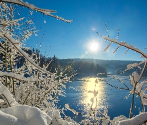 Ośnieżone, Jezioro, Zima, Gałęzie, Wschód słońca, Drzewa, Niebo, Lód