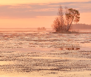 Zachód słońca, Drzewo, Jezioro, Wysepka