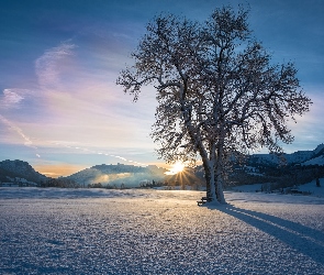 Zima, Promienie słońca, Drzewa, Ławka, Góry