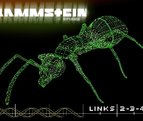 Rammstein, mrówka