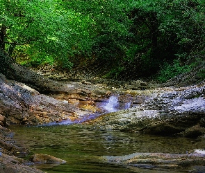Las, Rzeka, Skały, Drzewa, Zielony