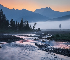 Góry, Rzeka, Poranek, Wschód słońca, Stany Zjednoczone, Roślinność, Drzewa, Park Narodowy Yellowstone, Mgła