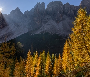 Dolomity, Drzewa, Jesień, Włochy, Góry