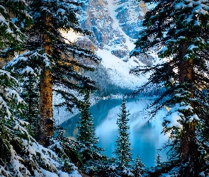 Drzewa, Góry, Prowincja Alberta, Zima, Jezioro Moraine, Kanada, Park Narodowy Banff