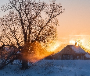 Domy, Mgła, Wschód słońca, Drzewa, Zima