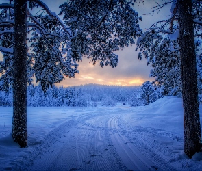 Zima, Śnieg, Droga, Drzewa, Zachód słońca