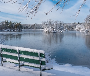 Zima, Park, Chmury, Staw, Drzewa, Ławka