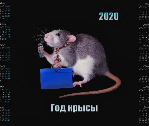 Kalendarz, 2020, Teczka, Krawat, Telefon, Szczur