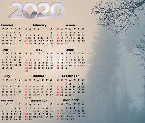 Kalendarz, Mgła, Drzewa, 2020