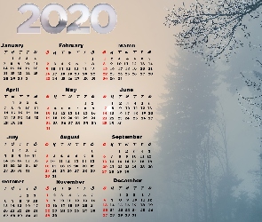 Mgła, Drzewa, Kalendarz, 2020