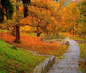 Drzewa, Chodnik, Park, Latarnie, Jesień
