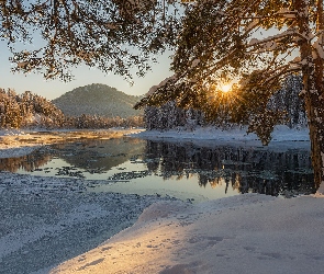 Rzeka, Zima, Rosja, Drzewa, Promienie słońca, Ałtaj, Góry