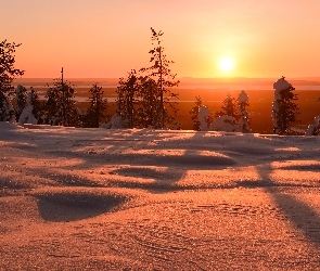 Zima, Finlandia, Drzewa, Śnieg, Wschód słońca