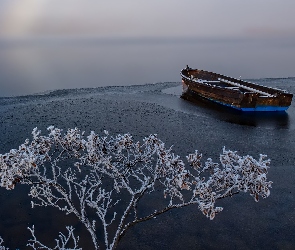 Brzeg, Gałęzie, Ośnieżone, Łódka, Jezioro