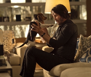 Film, John Wick, Szczeniak, Keanu Reeves, Pies, Aktor