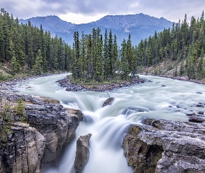 Prowincja Alberta, Drzewa, Rzeka Sunwapta, Kanada, Góry, Wodospad Sunwapta Falls, Park Narodowy Jasper