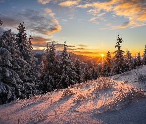 Śnieg, Las, Wschód słońca, Zima, Góry, Drzewa