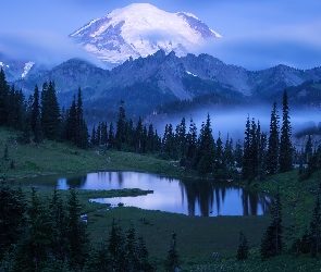 Drzewa, Góry, Park Narodowy Mount Rainier, Stany Zjednoczone, Mgła, Jezioro Tipsoo, Stan Waszyngton, Stratowulkan Mount Rainier