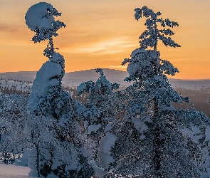 Zaśnieżone, Zachód słońca, Góry, Drzewa, Zima