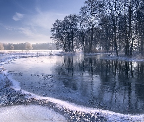 Śnieg, Drzewa, Rzeka, Zima