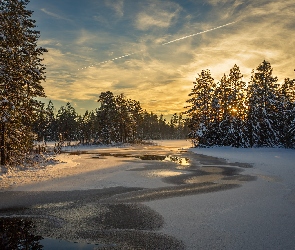 Szwecja, Rzeka, Rezerwat, Las, Zima, Śnieg, Glaskogen, Przyrody, Arvika, Drzewa