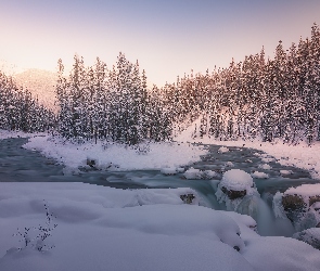 Rzeka Sunwapta, Góry, Wodospad Sunwapta Falls, Zima, Alberta, Park Narodowy Jasper, Kanada, Drzewa