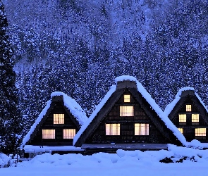 Światła, Domy, Noc, Zima, Drzewa, Śnieg