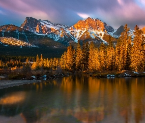 Jezioro, Drzewa, Alberta, Park Narodowy Banff, Kanada, Góry