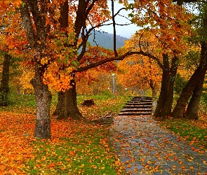 Jesień, Park, Schody, Opadłe, Pożółkłe, Liście, Drzewa