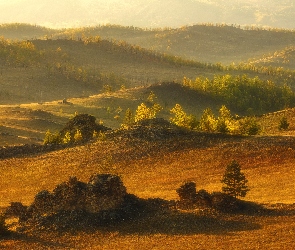 Drzewa, Skałki, Wzgórza