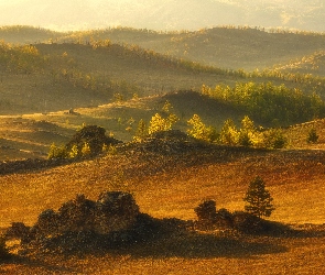 Wzgórza, Skałki, Drzewa