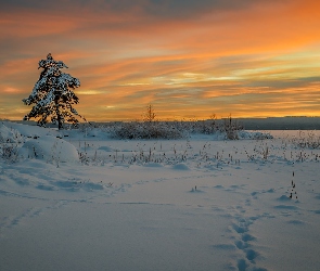 Jezioro Glafsfjorden, Zaśnieżone, Szwecja, Drzewo, Zima, Arvika, Zachód słońca