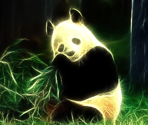 Panda, Fraktalius