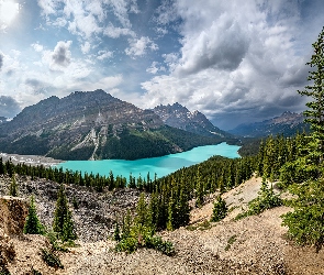 Góry, Drzewa, Peyto, Jezioro, Kanada, Prowincja Alberta, Świerki, Park Narodowy Banff, Chmury