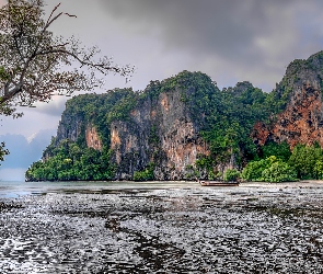 Zatoka East Railay Bay, Góry, Tajlandia, Łódki, Ao Nang, Krabi, Drzewo