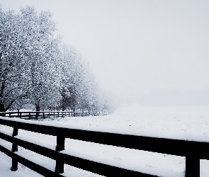 Drzewa, Ośnieżone, Zima, Ogrodzenie