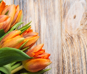 Pomarańczowe, Deski, Tulipany