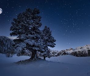 Księżyc, Drzewo, Noc, Zima, Śnieg, Las, Góry, Domy, Gwiazdy