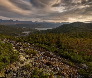 Góry, Drzewa, Rośliny, Kamienie, Jezioro