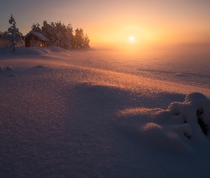 Zaśnieżone, Ringerike, Zima, Norwegia, Wschód słońca, Mgła, Jezioro, Drzewa, Domek