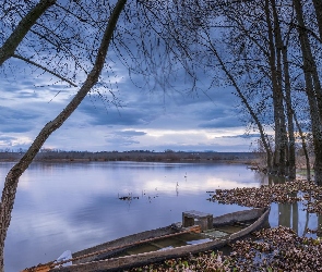 Jezioro Fermentelos, Jesień, Portugalia, Drzewa, Gmina Agueda, Łódka