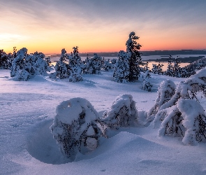 Drzewa, Śnieg, Zima, Rosja, Zatoka Kandałaksza, Wschód słońca, Półwysep Kolski, Zaśnieżone