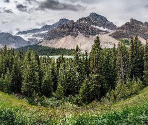 Góry, Park Narodowy Banff, Kanada, Drzewa, Chmury, Prowincja Alberta, Jezioro Bow Lake